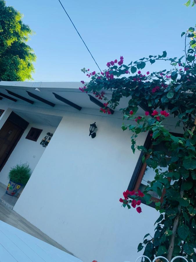 マナグア Casa San Juan Bed & Breakfast エクステリア 写真
