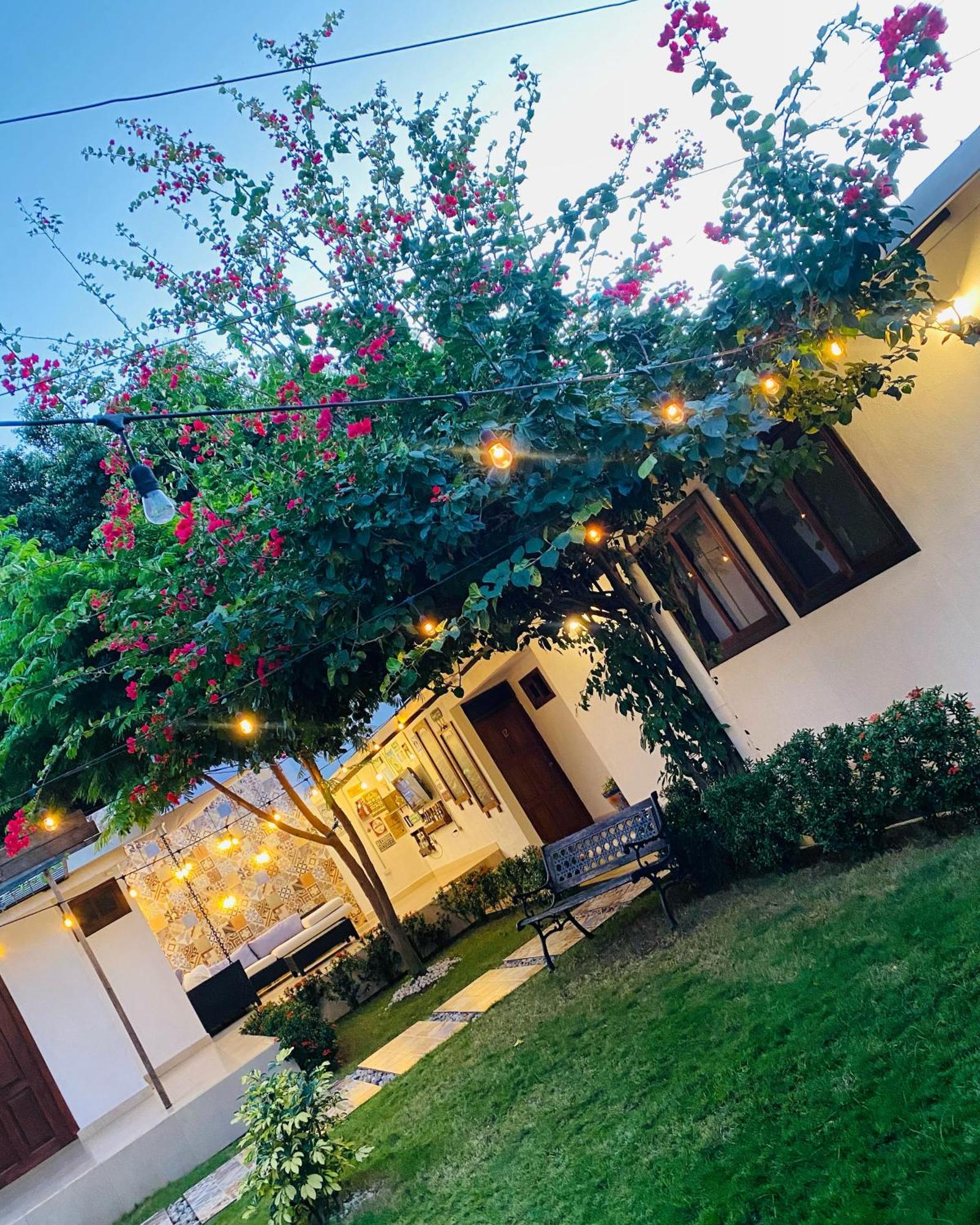 マナグア Casa San Juan Bed & Breakfast エクステリア 写真