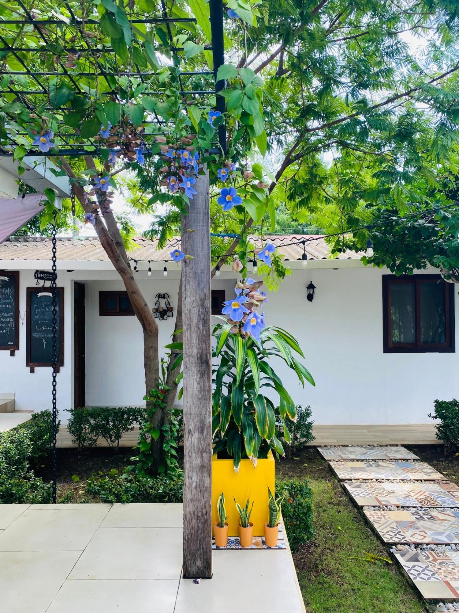 マナグア Casa San Juan Bed & Breakfast エクステリア 写真